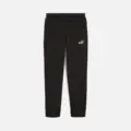 Puma Sportswear Essentials Erkek Eşofman Altı görsel 2