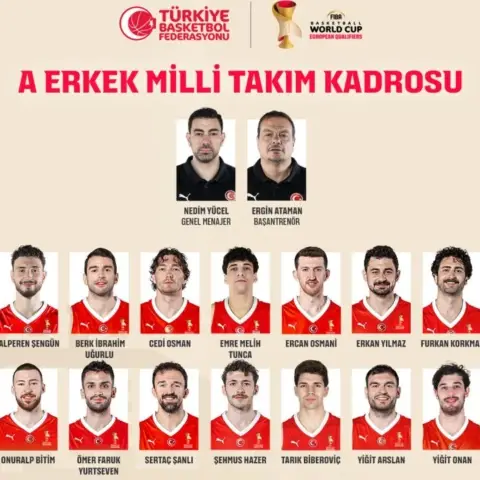 Basketbol Ekipmanları: Milli Takım Seviyesi Seçenekler