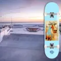 Push 8.5 Tunisia MLSL Blue Skateboard Kaykay görsel 4