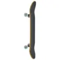 Push 8.0 Toucan FP Blue Skateboard Kaykay görsel 2