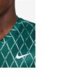 Nike Dri-FIT Baskılı Erkek Tenis Üstü görsel 3