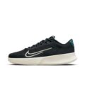 Nike Vapor Lite 2 Erkek Toprak Kort Tenis Ayakkabısı görsel 4