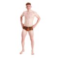 Speedo ALV 17CM BRF AM Erkek Yüzücü Mayosu görsel 2